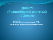 : Разнообразие растений на Земле