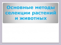 Презентация Основные методы селекции животных и растений