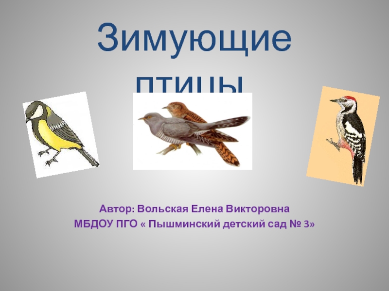 Презентация Презентация по окружающему миру в старшей группе Зимующие птицы