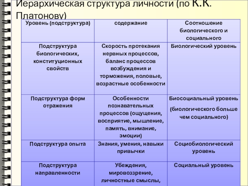 Иерархическая структура личности (по К.К. Платонову)
