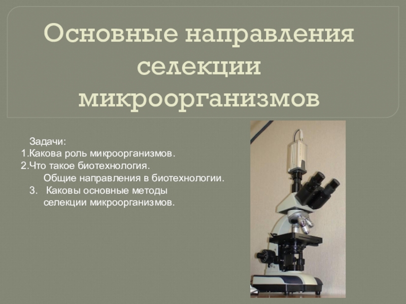 Селекция микроорганизмов презентация 9 класс