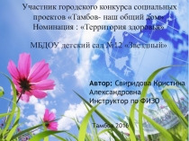 Проект по физической культуре Территория здоровья