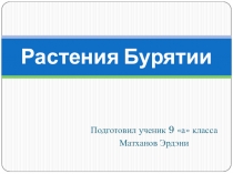 Презентация по биологии Растения Бурятии