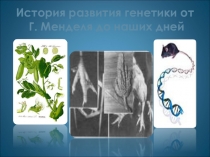 Презентация по биологии для 9 класса на тему: Введение в науку генетика