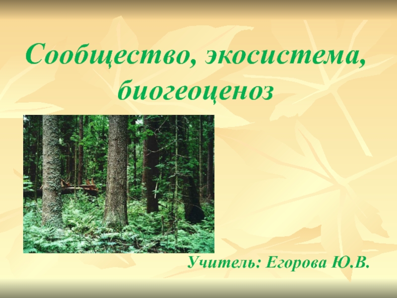 Сообщество экосистема биогеоценоз презентация биология 9 класс пасечник