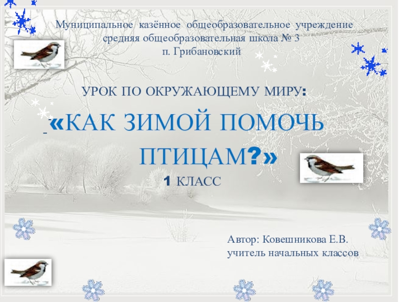 Презентация Презентация к уроку по окружающему миру  Как зимой помочь птицам? (1 класс)