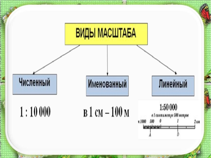 Масштаб виды масштабов. Тема масштаб география 5 класс. Виды масштаба. Виды масштабов в географии. Масштаб 6 класс география.