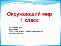 Презентация по окружающему миру Кто такие звери?