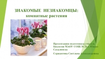 Презентация Знакомые незнакомцы: комнатные растения.