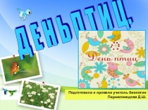 Презентация ко дню птиц