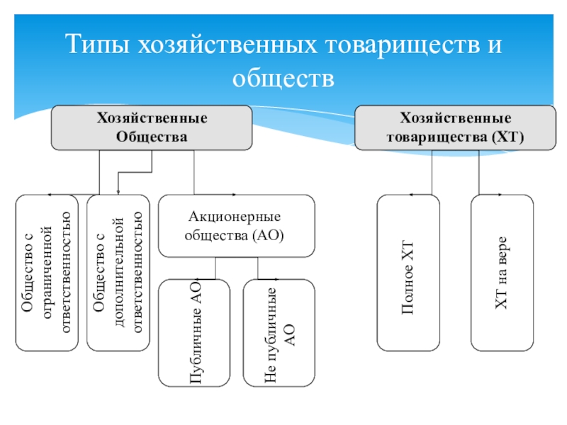 Хозяйственные общества схема