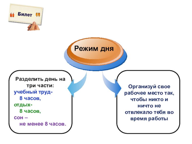 Разделить день на три части: учебный труд- 8 часов, отдых-8 часов, сон – не менее 8 часов.Режим