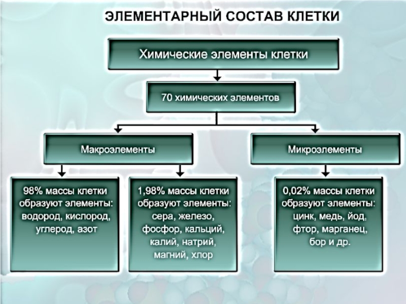 Химические процессы и состав клетки. Элементарный состав клетки биология. Химический состав клетки таблица. Химический состав клетки 10. Химический состав клетки 10 класс.