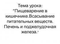 Презентация к уроку биологии по теме Пищеварение в тонком кишечнике