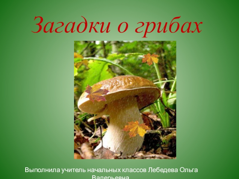 Выполни грибы. Загадки про грибы. Загадки про грибов. Загадки про грибы для 2 класса. Загадки про грибы 3 класс.