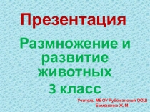 Презентация по окружающему миру на тему Размножение и развитие животных (3 класс)