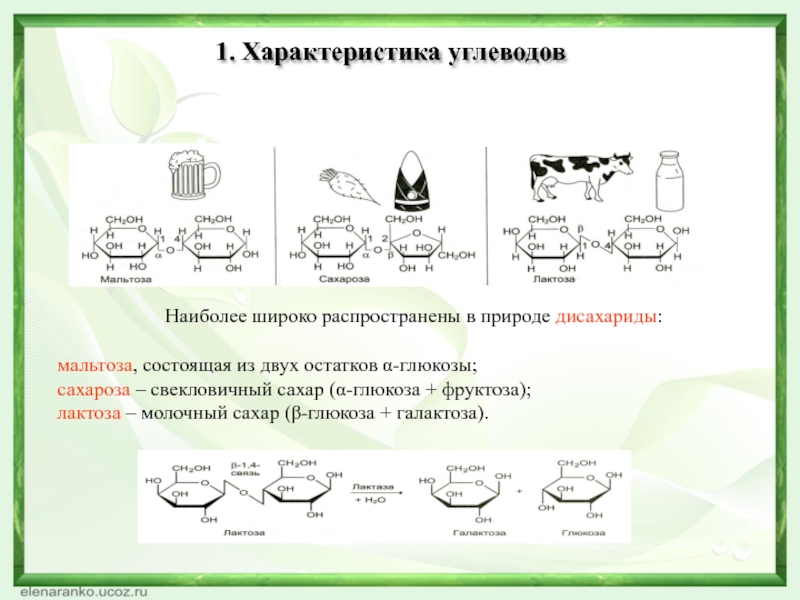 Схема выделения сахарозы из растений