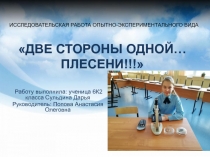 Исследовательский проект  Две стороны одной... плесени!!!