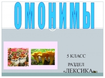 Презентация по русскому языку по теме Омонимы