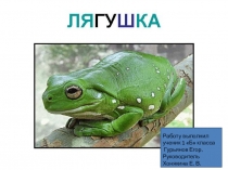 Презентация по окружающему миру на тему Земноводные. Лягушки (1 класс)