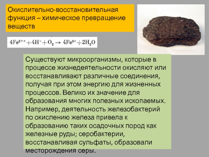 Окислительно восстановительные вещества. Окислительно-восстановительная функция биосферы. Окислительно-восстановительная функция живого вещества. Окислительно-восстановительная функция живого вещества примеры. Окислительно-восстановительная функция живого вещества в биосфере.