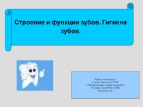 Презентация к уроку или внеклассному мероприятию по теме Строение и функции зубов. Гигиена зубов