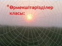 Өрмекшітәрізділердің жалпы сипаттамасы және көптүрлілігі. Крест өрмекшісі (немесе кезкелген басқа өрмекші). Сыртқы құрылысы. Тіршілік ортасы, тіршілік ету дағдысы және мінез –құлығы.