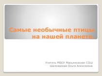 Презентация по биологии на тему: Самые необычные птицы нашей планеты