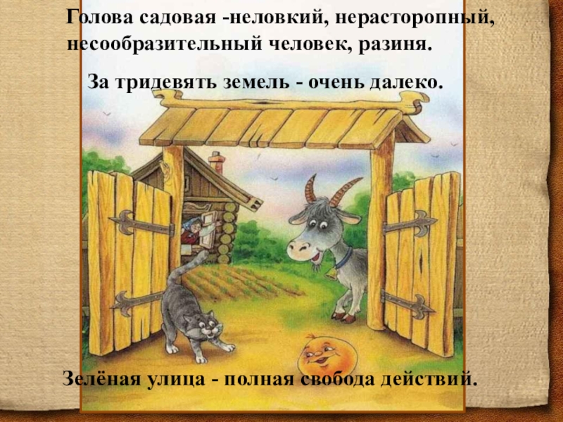 голова садовая фразеологизм. фразеологизмы со словом голова. голова садовая значение фразеологизма. фразеологизмы про голову. фразеологизмы про голову.