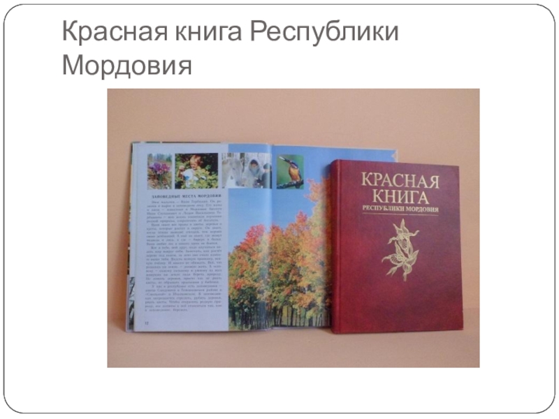 Растения красной книги мордовии. Животные и растения занесенные в красную книгу Мордовии. Растения и животные Мордовии занесенные в красную книгу России. Растения занесенную в красную книгу России Мордовии. Красная книга растений Республика Мордовия.