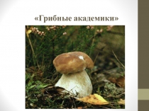 Презентация по биологии на тему Грибные академики