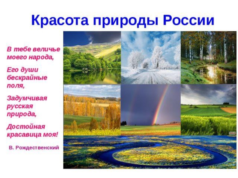 Экскурсия в природу 5 класс география презентация