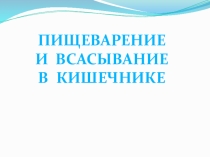 Презентация по биологии Пищеварение и всасывание в кишечнике