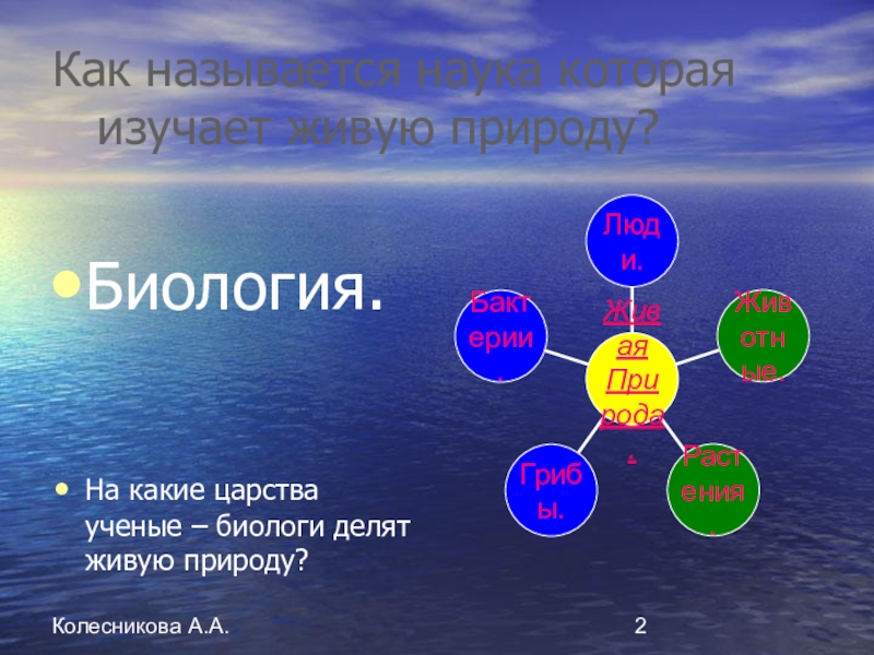 Как называется наука о населении