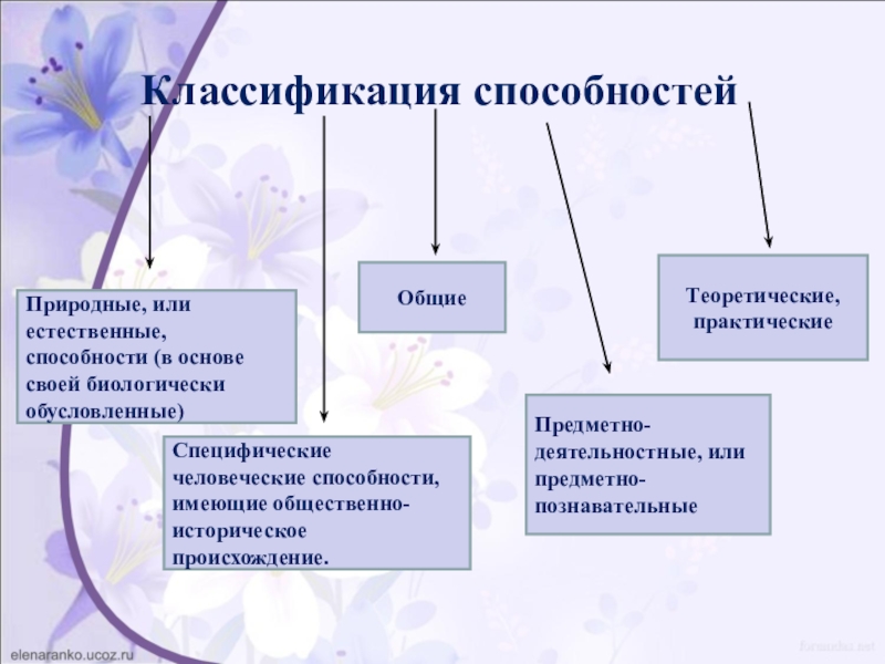 Классификация способностей. Способности природные и специфические. Общие специфические способности. Природные и специфические человеческие способности. Классификации специфически человеческих способностей:.