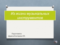 Презентация ученика по музыке мир музыкальных инструментов (8 класс)