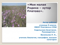 Моя малая Родина – хутор Платово.