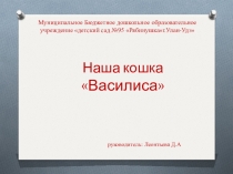 Презентация по экологии Моя кошка