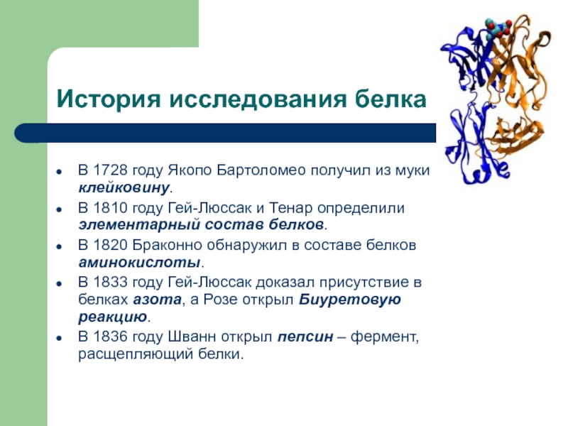 История исследование. История изучения белков. История открытия белков. История изучения белка. История открытия белка.
