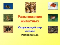 Презентация по окружающему миру по теме Размножение животных 4 класс