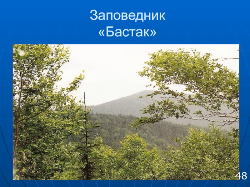 Как охранять природу. Заповедник Бастак презентация. Охраняемые объекты заповедника Бастак. Охрана природы в нашем крае. Заповедник Бастак на карте.