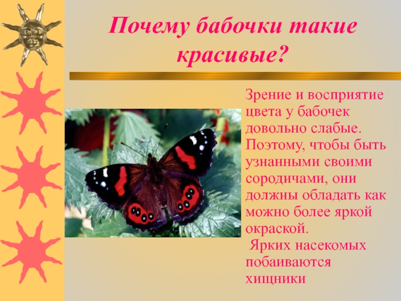 Почему бабочки такие разные и красивые. Почему бабочки такие красивые. Почему бабочки такие разные. Почему бабочки разные и красивые. Бабочки для презентации.