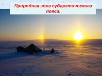 Урок Растительный мир Ненецкого автономного округа