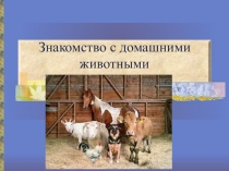 Презентация к конспекту Домашние животные