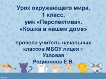 Технологическая карта и презентация по окружающему миру Кошки в нашем доме, 1 класс.