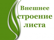 Презентация по биологии на тему Внешнее строение листа