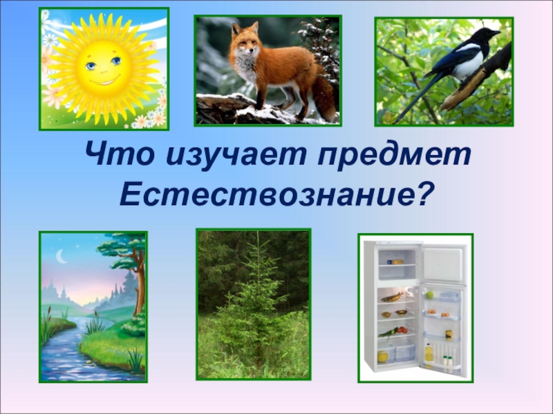 Изучение объекта природы. Естествознание наука о природе. Что изуч Естествознание. Естествознание это наука изучающая. Предмет изучения естествознания.