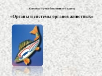 Презентация по теме Органы и системы органов животных