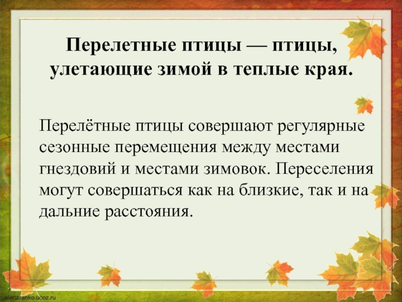 Презентация птицы оренбургской области