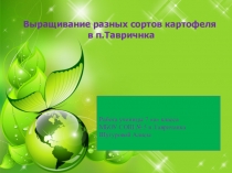 Презентация к работе  Выращивание разных сортов картофеля в посёлке Тавричанка